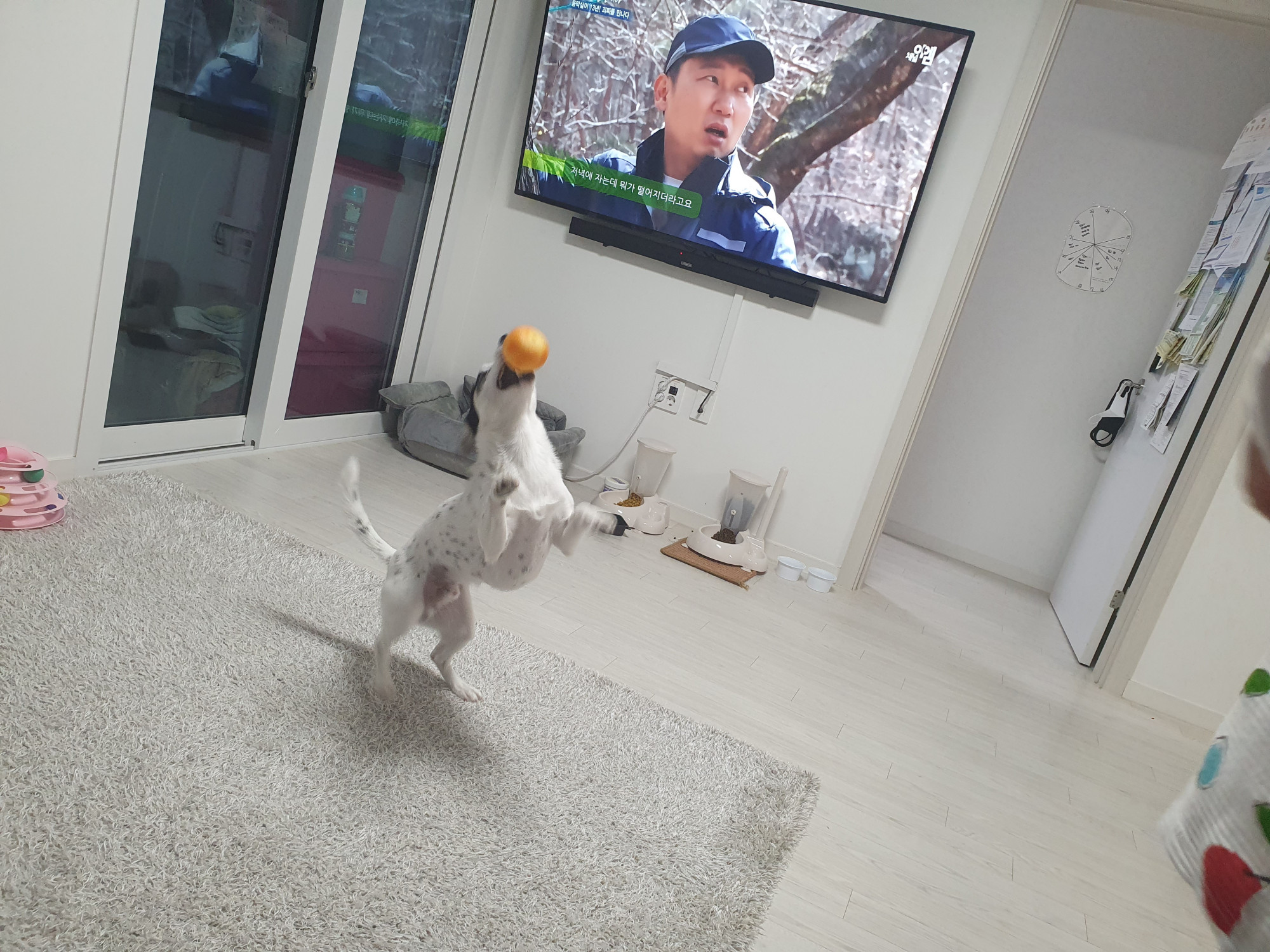 매물 이미지